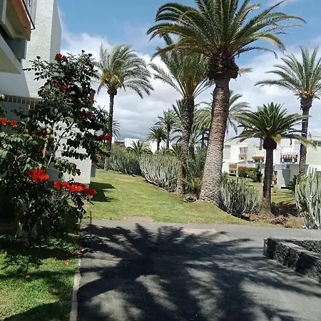 Veronicas Costa Del Silencio Apartment Arona (Tenerife)